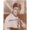 Image 1 : Ted Williams