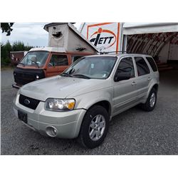 F1 --  2005 FORD ESCAPE , Brown , 291117  KM's