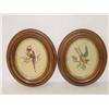 Image 1 : PR. 13 WALNUT OVAL FRAMES W/ NEEDLEPOINT OF BIRDS