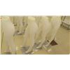 Image 3 : Qty 5 Bottom Half Mannequins on Metal Stands