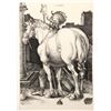 Image 1 : Albrecht DÃ¼rer, Le Grand Cheval, Heliogravure