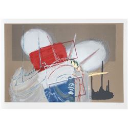 Rainer Gross, Liberty, Silkscreen