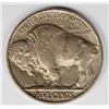 Image 2 : 1916 BUFFALO NICKEL