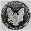 Image 2 : 1994-P AMERICAN SILVER EAGLE