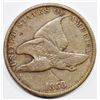 Image 1 : 1858 FLYING EAGLE CENT
