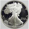 Image 1 : 1991-S AMERICAN SILVER EAGLE
