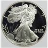 Image 1 : 1994-P AMERICAN SILVER EAGLE