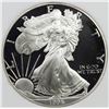 Image 1 : 1996-P AMERICAN SILVER EAGLE