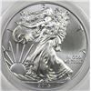 Image 1 : 2013-W AMERICAN SILVER EAGLE