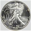 Image 1 : 1989 AMERICAN SILVER EAGLE