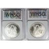 Image 2 : (2) 1996 AMERICAN SILVER EAGLES
