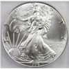 Image 1 : 1996 AMERICAN SILVER EAGLE