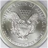 Image 2 : 2011 AMERICAN SILVER EAGLE