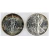 Image 1 : 1988 & 1989 AMERICAN SILVER EAGLES