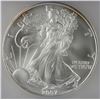 Image 1 : 2007 AMERICAN SILVER EAGLE