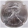 Image 1 : 2013 AMERICAN SILVER EAGLE