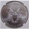 Image 2 : 2013 AMERICAN SILVER EAGLE