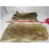 Image 1 : LOT OF 2 RABBIT PELTS (BROWN) * 19"X12" & 16" X 10"*