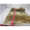 Image 2 : LOT OF 2 RABBIT PELTS (BROWN) * 19"X12" & 16" X 10"*