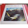 Image 2 : PRINT (LIGHT AND SHADOW) *79/777* (SIGNED BY FRANKLIN CHARMICHAEL) *COA* (20" X 24")