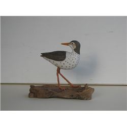 Folk Art Award Winner Jack Murphy Collection of Wood Carvings Florida Shorebirds