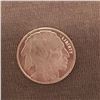 Image 1 : One Half Ounce 999 Fine Silver Bullion Round Classic Design Five Cent Buffalo Native