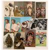 Image 1 : American Indian Papoose Postcards   (104625)