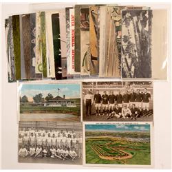 Misc. Sports Postcards   (104981)
