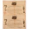 Image 1 : Cornelius Van Ness Signed Document Appointing Military Officer   (104497)