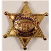 Image 1 : Inyo County, CA Gold Plated Deputy Sheriff Badge   (106360)