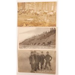Alaska Gold Rush RPC's (3)   (105290)