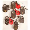 Image 1 : Seven Crude Locks with keys   (81109)