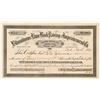 Image 1 : Bituminous Lime Rock Paving & Improvement Co. Stock Certificate   (103478)