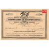 Image 1 : Enterprise Lumber & Development Co. Stock Certificate   (103479)