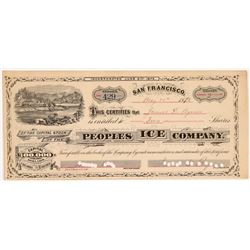 Peoples Ice Company Stock   (108062)