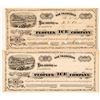 Image 1 : People's Ice Company Stock Certificates   (107105)