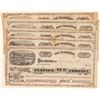 Image 1 : Peoples Ice Co Stocks (5) by GT Brown   (105506)