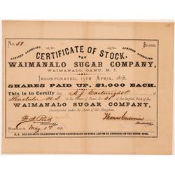 Waimanalo Sugar Company Stock Certificate issued to AJ Cartwright, Father of Baseball   (107289)