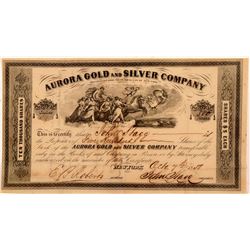 Aurora Gold and Silver Company Stock   (104006)