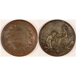 Mechanics Institute Medal   (102860)