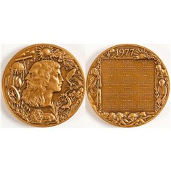 Bronze Medal (In Case)   (79151)