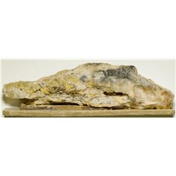 Seward Peninsula Native Gold Specimen   (108014)