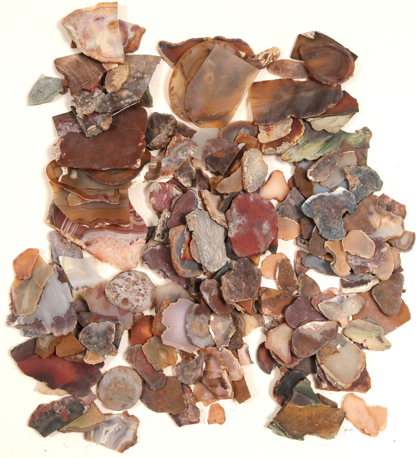 Cut Agate Collection (104593) - Holabird Western Americana Collections