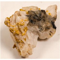 Gold In Quartz, Heizer Estate   (103326)