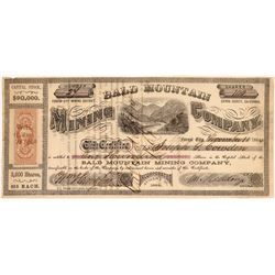 Bald Mountain MC Stock   (108100)