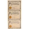 Image 1 : Plumas Eureka Mines Co. Stock Certificates incl. #1 and #2   (107130)