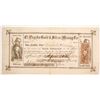 Image 1 : El Pichacho Gold & Silver Mining Stock #5   (83476)
