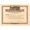 Image 1 : Yellow Aster Mining & Milling Co. Stock Certificate   (107268)