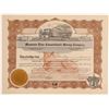 Image 1 : Mountain Lion Consolidated Mining Co. Stock Certificate   (107118)