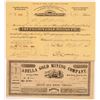 Image 1 : Two Sierra County Mining Stock Certificates   (104417)